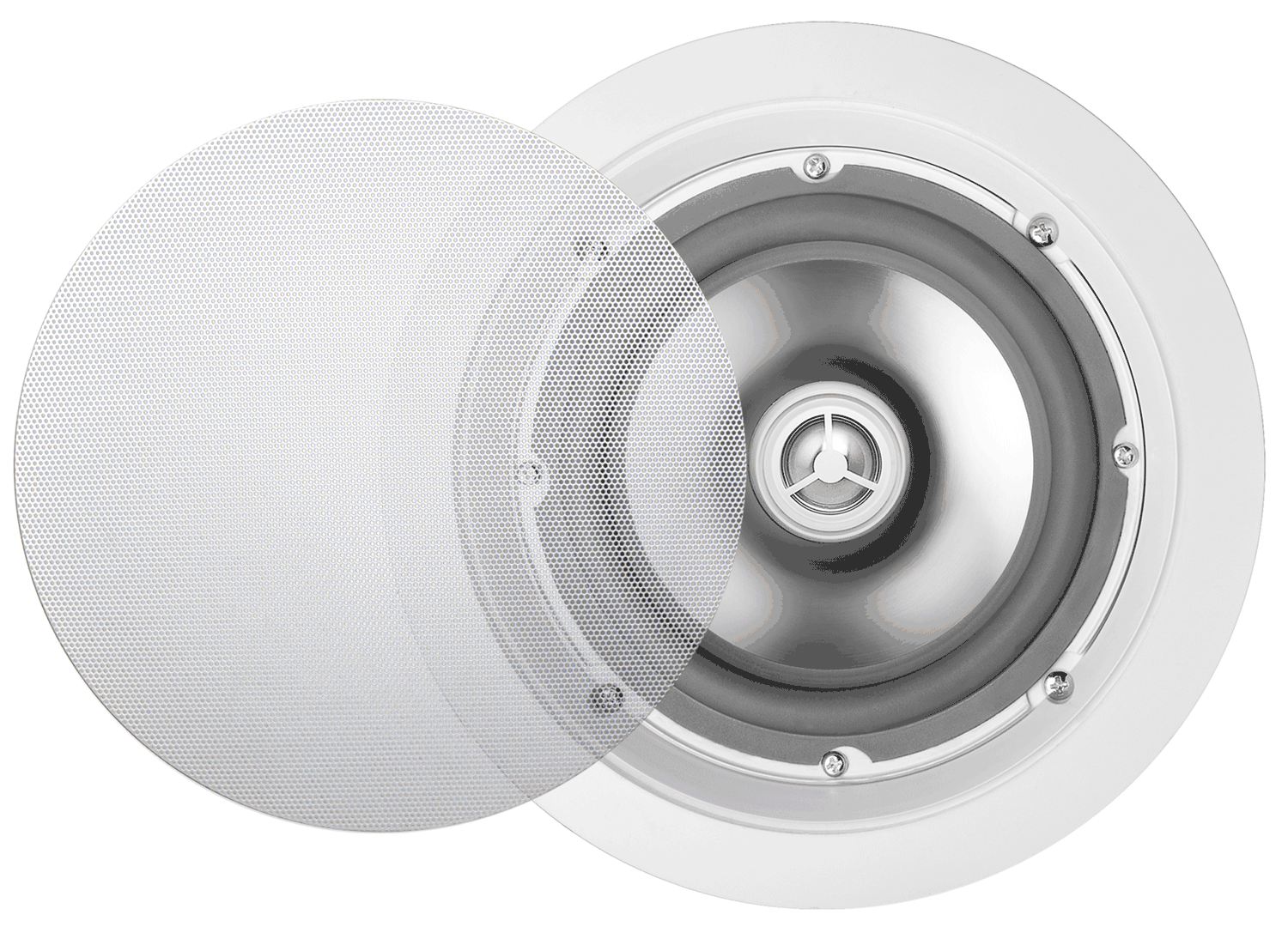 Ice speaker