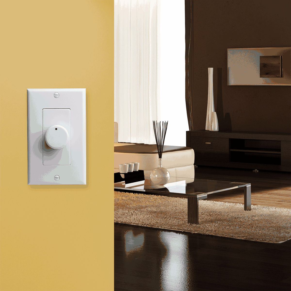 External volume control